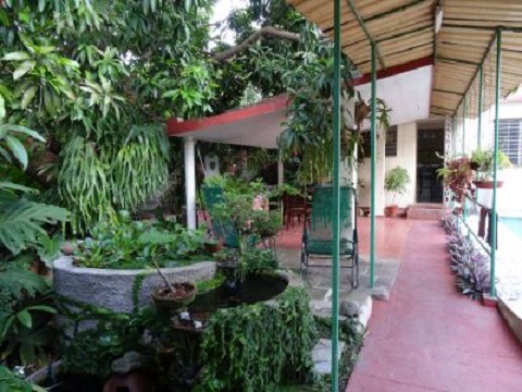 'Patio' Casas particulares are an alternative to hotels in Cuba.